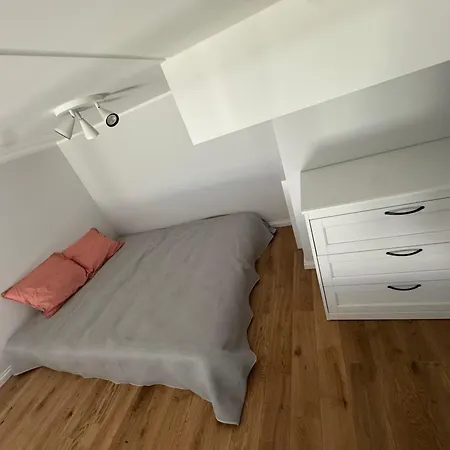 Lossipargi Loft דירה