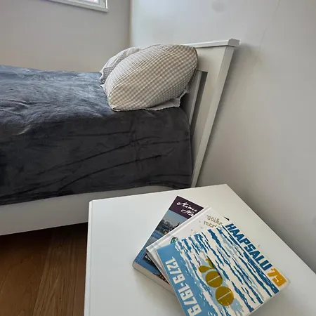 דירה Lossipargi Loft הפסלאו