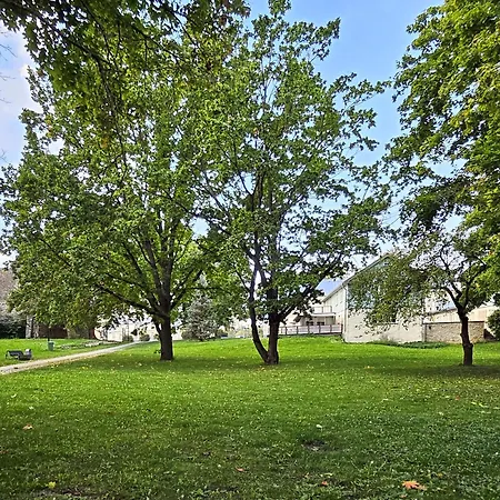 Lossipargi Loft